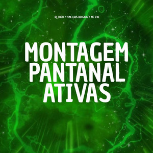 Montagem Pantanal Ativas