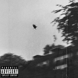 Graveyard (feat. GloomyXay & NvmeLess)