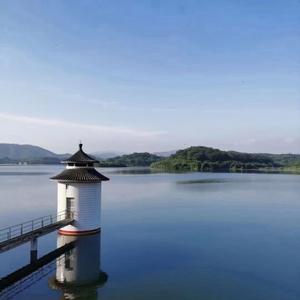 惜别的海岸DJ版