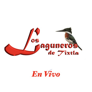 Sones 3 / Los Apaches / El Chivo Flaco / Los Viejitos / Los Huaraches / Los Chivos (En Vivo)