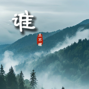 谁 (伴奏)