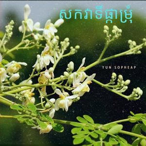 សកវាទិ៏ផ្កាម្រុំ