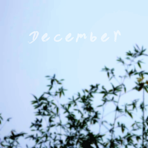 我在精神病院后花园