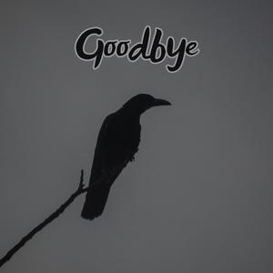 Goodbye