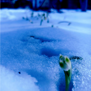 Ранняя весна