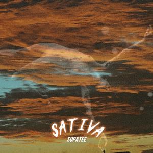 Sativa