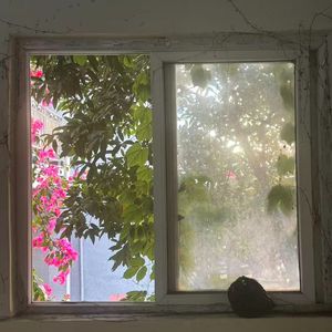 毒蘑菇（Cover.周笔畅）