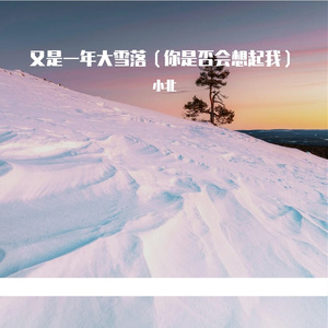又是一年大雪落（你是否会想起我）