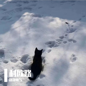 春日风铃下的惬意欢奏