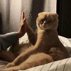 忽然之间（翻唱）