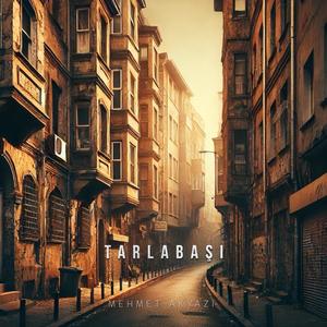 TARLABAŞI