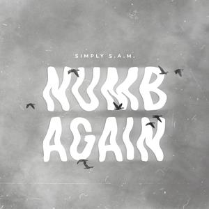 Numb Again