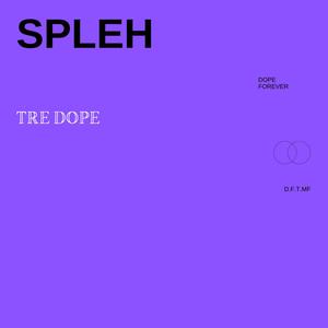 Spleh