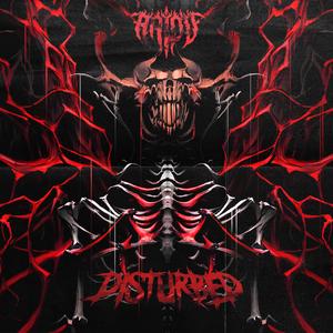 DISTURBED