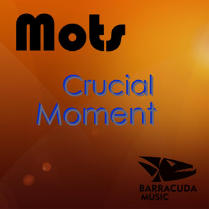 Next Level (Original Mix)