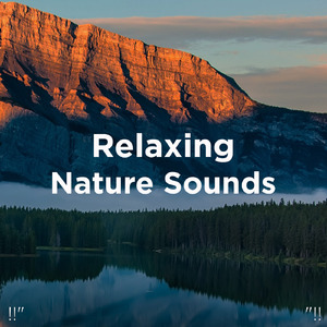 수면을위한 바다의 소리