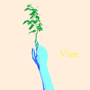 Vine