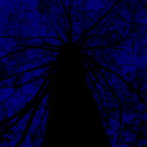 Blue room