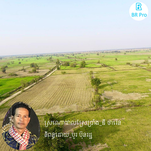 ស្រណោះវាលស្រែប្រាំង