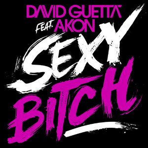 **** ***** (Koen Groeneveld Remix David Guetta Vocal Re-Edit)
