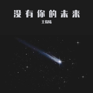 没有你的未来