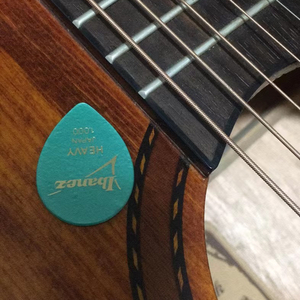 Sunflower (太阳花）