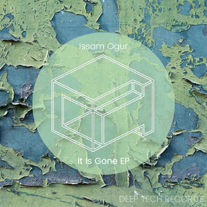 It Is Gone (Original Mix)