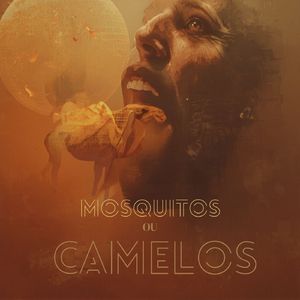 Mosquitos ou Camelos
