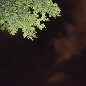 理想三旬_SANJIN~1