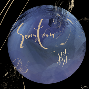SEVENTEEN （十七）