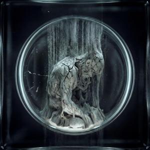 From the Ashes of Hope