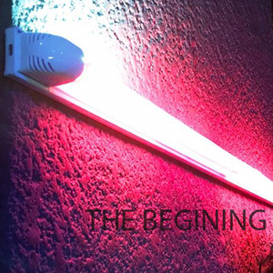 The Beginning