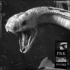 INVOKE (Organik Mix) (Organik Mix)