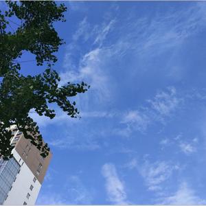 说好了不见面（Cover小贱）