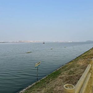 《生命的光彩》