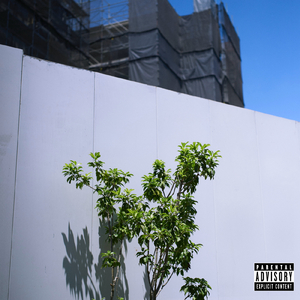 Roots&Leaves (feat. 柊人, in-d & NF Zessho) [Remix]