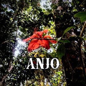 Anjo