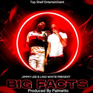 Big Facts (feat. Lino White)
