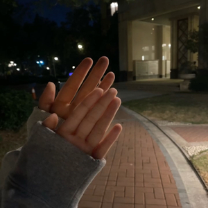 我的爱，梦般消散