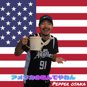 アメリカのなんでやねん