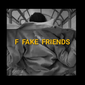 F Fake Friends