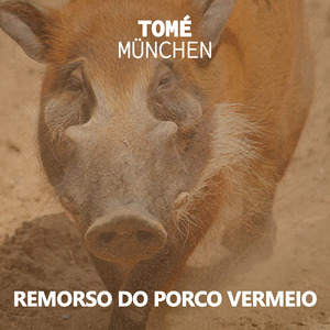 Remorso do Porco Vermeio