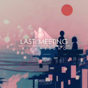 Last Meeting