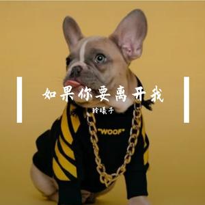 如果你要离开我