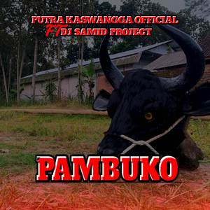 Pambuko