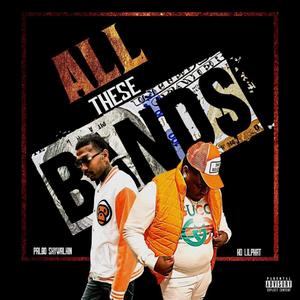 All These Bands (feat. Pablo Skywalkin)