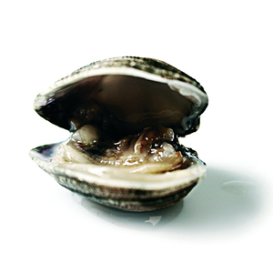 Prendimi per mano (feat. Patrizia Laquidara)