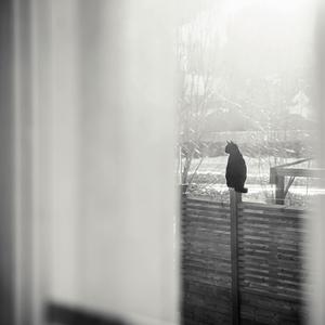 Screenshots (Delete 'Em All)