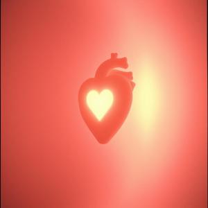 Зүрхний Чи by @haliuk