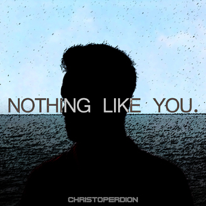 Nothing Like You
